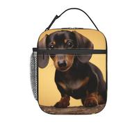 Un Adorable Perro Salchichas Bolsa Termica Frescura Bolsas Nevera Reutilizable Bolsa Almuerzo Para Fiambrera Aire Libre Trabajo