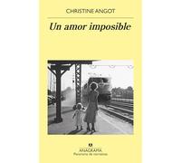 Un amor imposible: 953 (Panorama de narrativas)