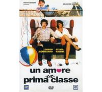 Un_amore_in_prima_classe [Italia] [DVD]