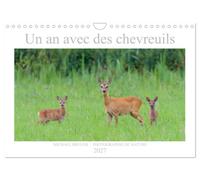 Un an avec des chevreuils (Calendrier mural 2027 DIN A4 vertical), CALVENDO calendrier mensuel: Photos impressionnant des chevreuils dans la nature (CALVENDO Animaux)