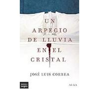 Un Arpegio De Lluvia En El Cristal (serie Ricardo Blanco 14)