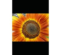 Un attimo di vita e un fiore magico