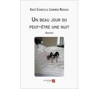 Un beau jour ou peut-être une nuit: Roman
