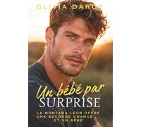 Un bébé par surprise: Romance spicy de seconde chance (Passion Exécutive)