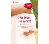 Un Bébé Un Secret (ebook)