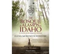 Un Bosque De Álamos En Idaho