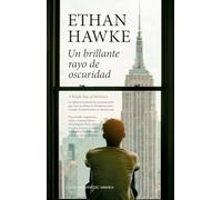 Un brillante rayo de oscuridad (Contemporáneos)