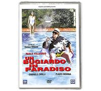 Un bugiardo in paradiso [Italia] [DVD]