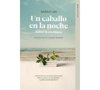 Un caballo en la noche: Sobre la escritura