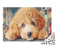 Un Cachorro marrón miente en la Calle Puzzle 1000 Piezas Adultos - Rompecabezas, Desafiante, Decoración del Hogar, Regalo 38x26cm/1000pcs