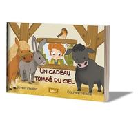 Un cadeau tombé du ciel (LIVRE SOUPLE)