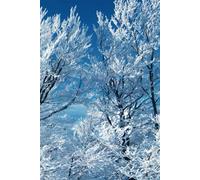 Un Carnet de notes/ journal personnel/ cahier d'écriture/ bloc-notes.: Paysage d'hiver. A5, contient 170 pages, 85 feuilles, ligné.