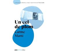 Un cel de plom - Ara Temes Clau