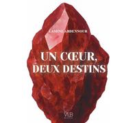 Un coeur, deux destins (Romans)
