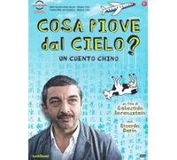Un_cuento_chino [Italia] [DVD]