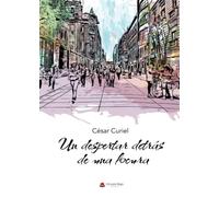 Un despertar detrás de una locura (SIN COLECCION)