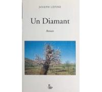 Un Diamant (ebook)