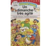 Un Dimanche Très Agité (ebook)