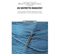 Un distretto mancato? Attori, strategie e dinamiche competitive nel settore tessile-abbigliamento. Il caso di San Giuseppe Vesuviano (Uomo, ambiente, sviluppo)