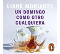 Un Domingo Como Otro Cualquiera (audiolibro)