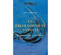 Un éblouissement sans fin: La poésie dans le soufisme (Les Dieux, les Hommes)
