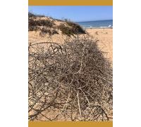 Un Edipo a Villa Psyké: A volte ritornano (Miti contemporanei)