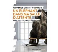 Un Éléphant Dans Ma Salle Dattente (ebook)