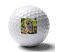 Un erizo genial con gafas, pelotas de golf personalizadas, regalos para hombres, golfistas, disparos más rectos