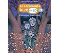 Un Fantôme Dans La Nuit (ebook)