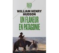 Un flâneur en Patagonie