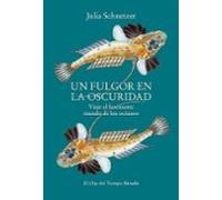 Un Fulgor En La Oscuridad