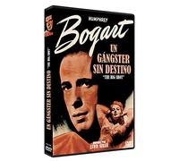 Un Gangster sin Destino DVD 1942 The Big Shot