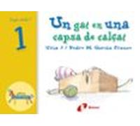 Un Gat En Una Capsa De Calçat