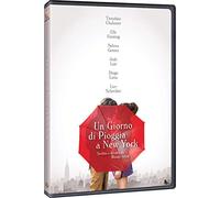 Un Giorno Di Pioggia A New York [DVD]