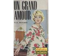 Un Grand Amour (docteur Holl) (ebook)