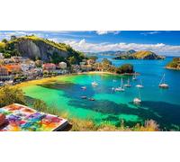 un Hermoso Dibujo a Pluma y Tinta a Color de un Sereno Nuevo celo fbe1a124 fa4a Puzzle de 1000 Piezas de Papel Reciclado - Juego edugatoivo & Relajación para Adultos en casa 38x52/1000pcs