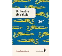 Un hombre sin paisaje (Micra)