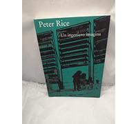 Un ingeniero imagina