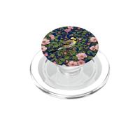 Un jilguero Americano Entre Rosas de Pradera de Color Rosa PopSockets PopGrip para MagSafe