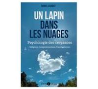 Un Lapin Dans Les Nuages (ebook)