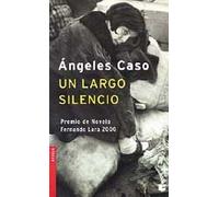 Un largo silencio (Novela)
