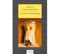 Un Lento Aprendizaje (ebook)