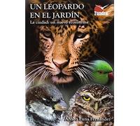 Un leopardo en el jardín. La ciudad: un nuevo ecosistema (TUNDRA)