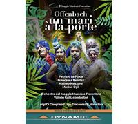 Un Mari a la Porte (DVD) Galli Benitez Mezzaro Ogii La Placa (Importación USA)
