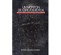 Un montón de espejos rotos