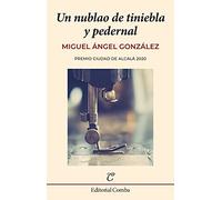 Un nublao de tiniebla y pedernal: 41 (Comba)