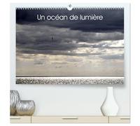 Un océan de lumière (Calendrier mural 2026 DIN A2 vertical) calendrier de bureau: Jeu de lumière sur l'océan et la mer