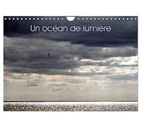 Un océan de lumière (Calendrier mural 2026 DIN A4 vertical), CALVENDO calendrier mensuel: Jeu de lumière sur l'océan et la mer