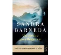 Un Océano Para Llegar A Ti (ebook)