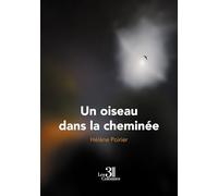 Un oiseau dans la cheminée